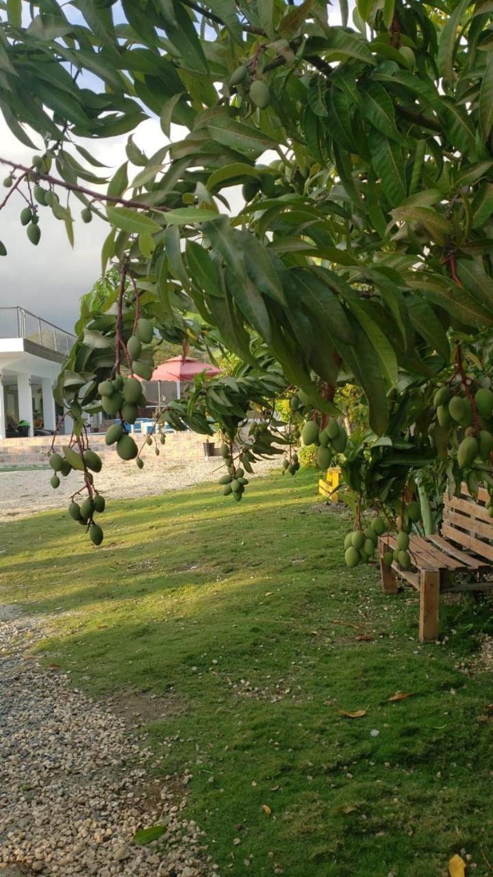 Casa De Campo Nerys San Juan Buitenkant foto