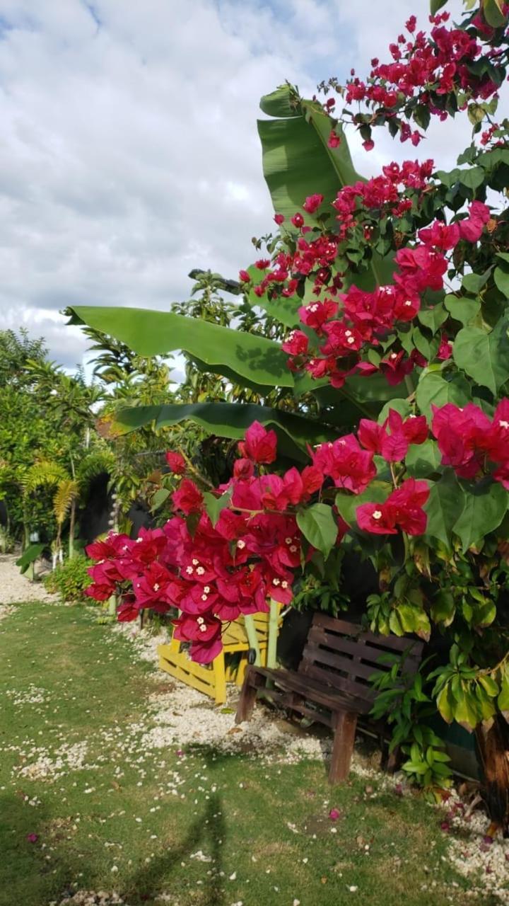 Casa De Campo Nerys San Juan Buitenkant foto